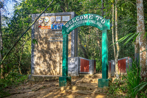 Pintu Masuk Gunung Leuser National Park