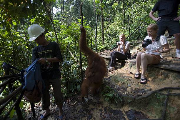 2D1N Jungle Survival & Rainforest Camping Experience
